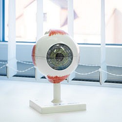 Unsere Praxis Unsere Praxis